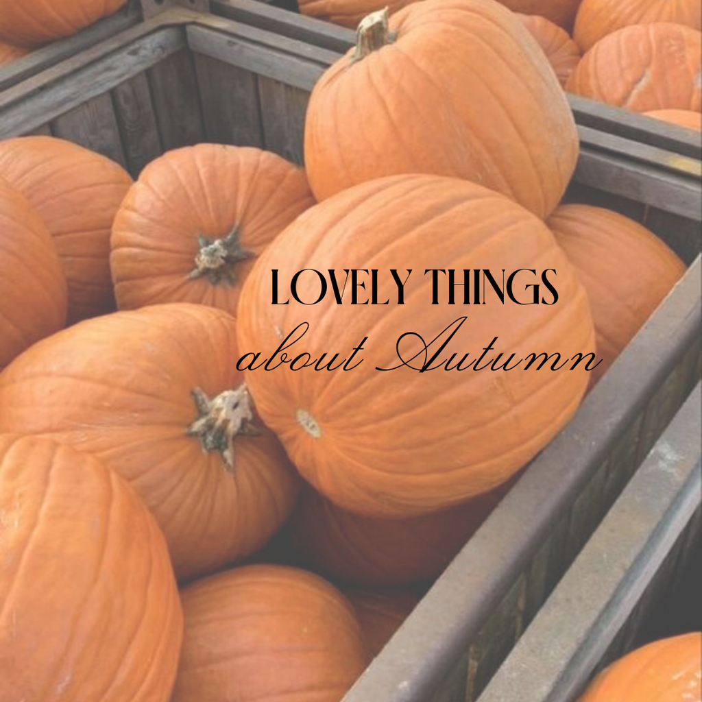 LOVELY THINGS ABOUT AUTUMN